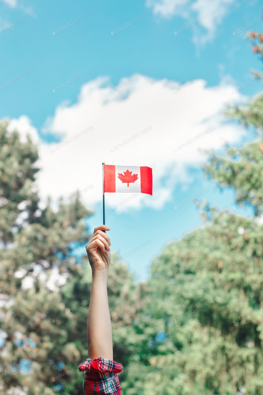 canadian immigration