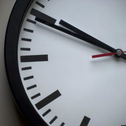 canadian citizenship application processing time