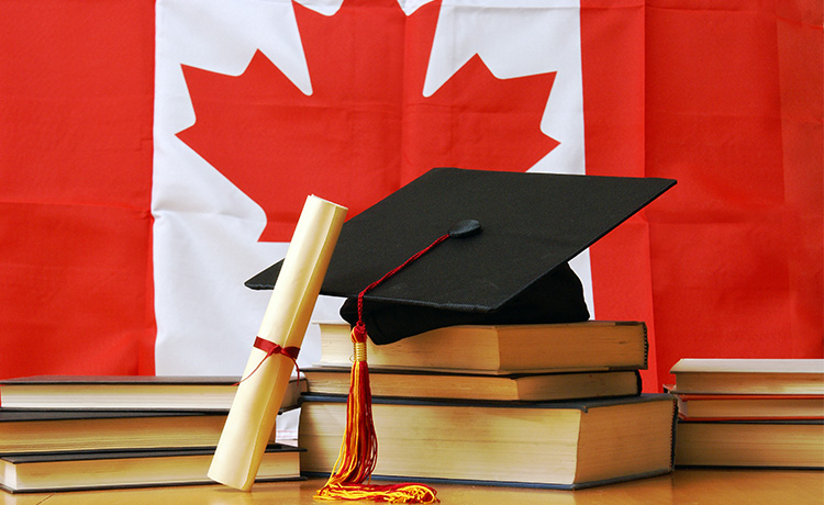 Work on a Study Permit