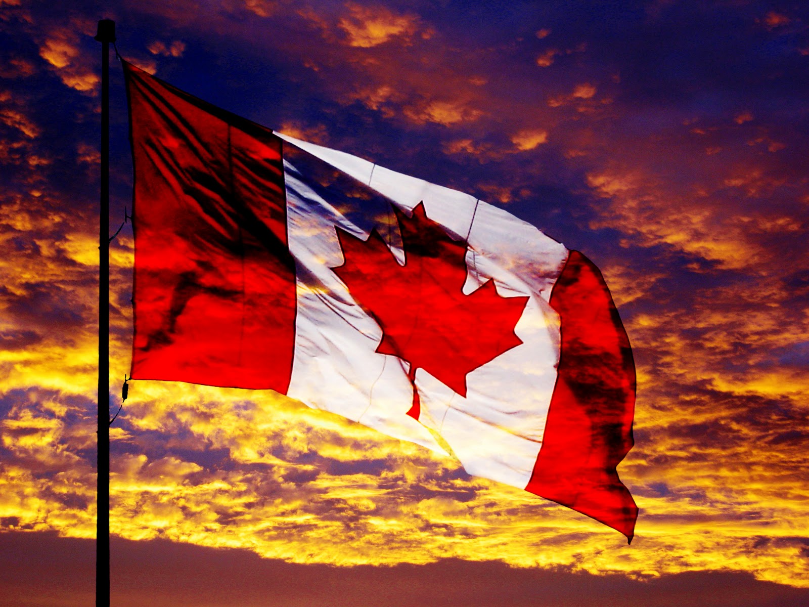 Canadian Immigration changes