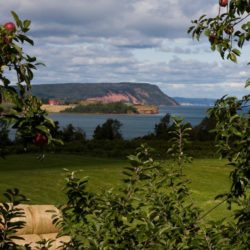 New Immigration Path for Farm Workers