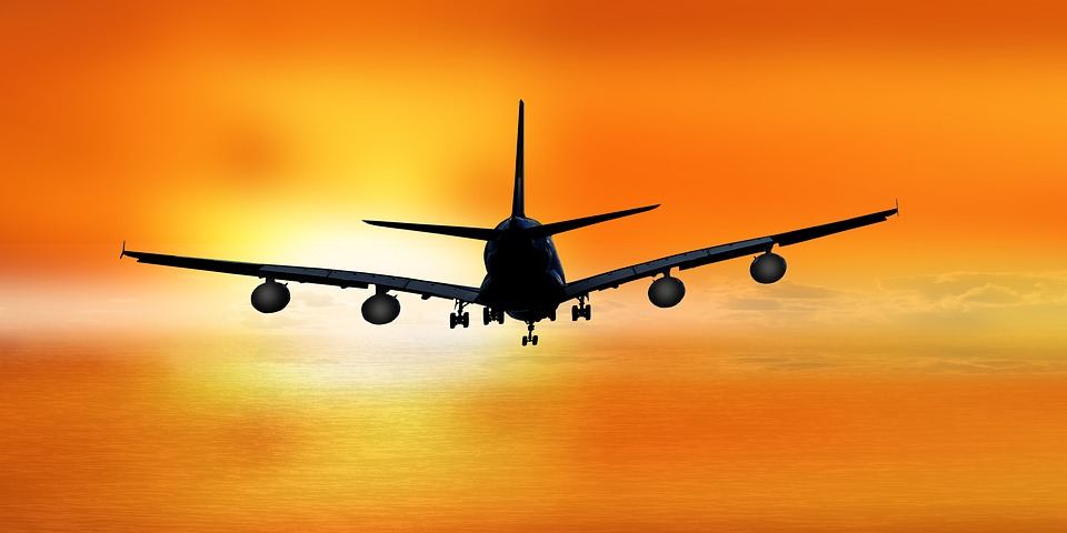 Travel International Student
