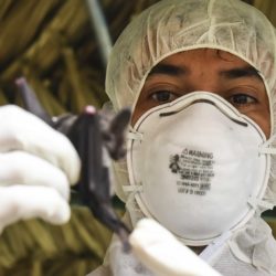 H1B Coronavirus