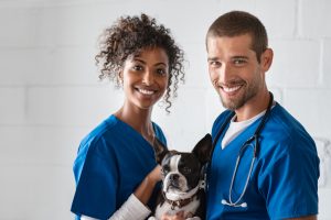 Veterinarian Immigration to Canada